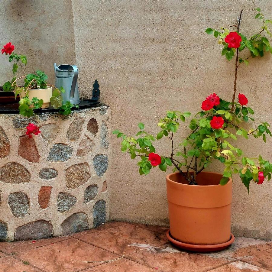 Casa Rural Abuela Reme El Fresno 외부 사진